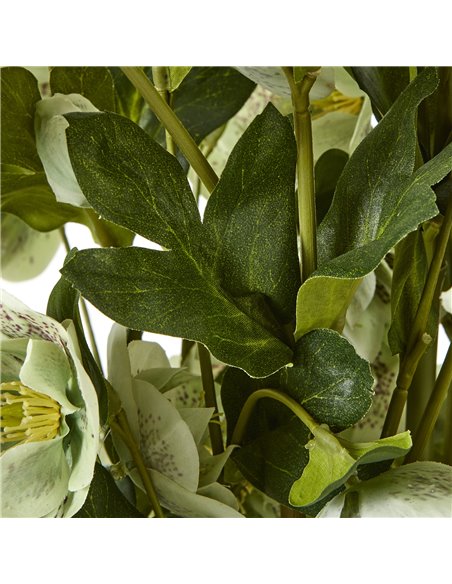 Hill Interiors Large Green Hellebore in Taupe Pot 23766 - pic 114080 | FastDaddyshop