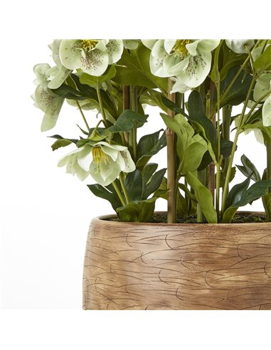 Hill Interiors Large Green Hellebore in Taupe Pot 23766