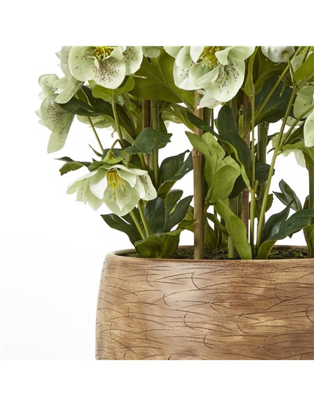 Hill Interiors Large Green Hellebore in Taupe Pot 23766 - pic 114081 | FastDaddyshop