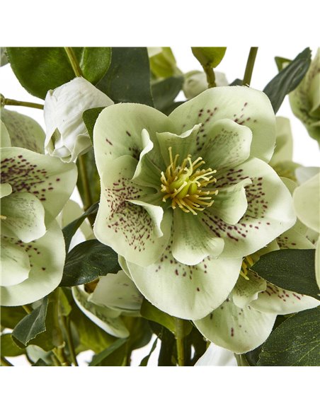 Hill Interiors Large Green Hellebore in Taupe Pot 23766 - pic 114082 | FastDaddyshop