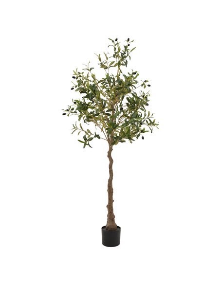 Hill Interiors Calabria Olive Tree 23079 - pic 114090 | FastDaddyshop