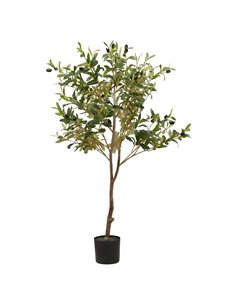 Hill Interiors Calabria Small Olive Tree 23080