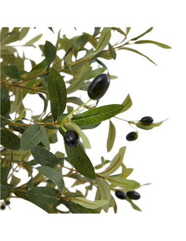 Hill Interiors Calabria Small Olive Tree 23080