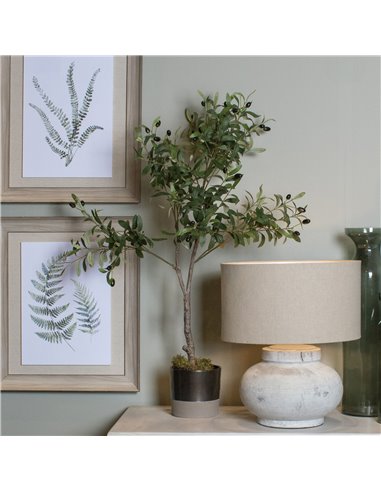Hill Interiors Calabria Small Olive Tree 23080