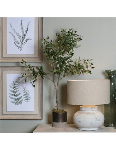 Hill Interiors Calabria Small Olive Tree 23080 - pic 114095 | FastDaddyshop