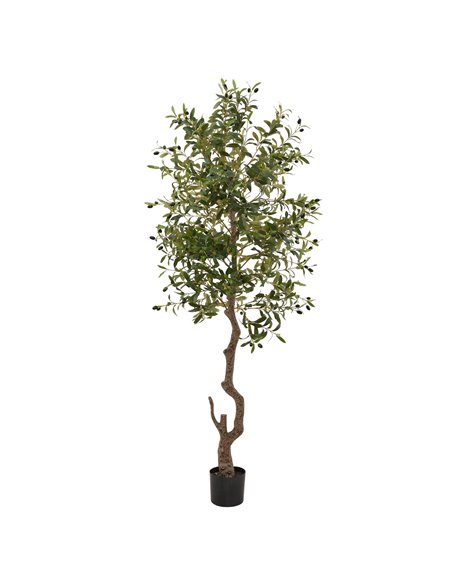 Hill Interiors Calabria Large Olive Tree 23081 - pic 114096 | FastDaddyshop