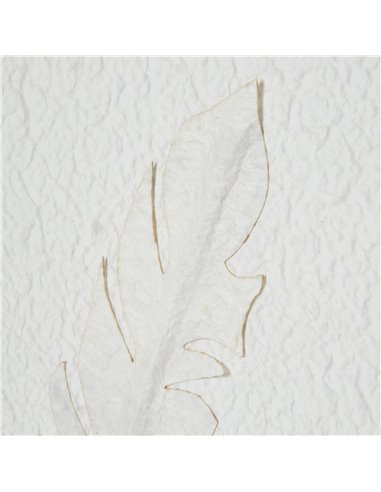 Hill Interiors Solli White Feathers Art Mounted In Beaded Frame 23801