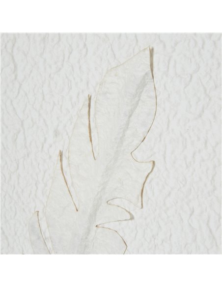 Hill Interiors Solli White Feathers Art Mounted In Beaded Frame 23801 - pic 114175 | FastDaddyshop