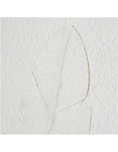 Hill Interiors Large Quill White Feather Art Mounted In Beaded Frame 23805