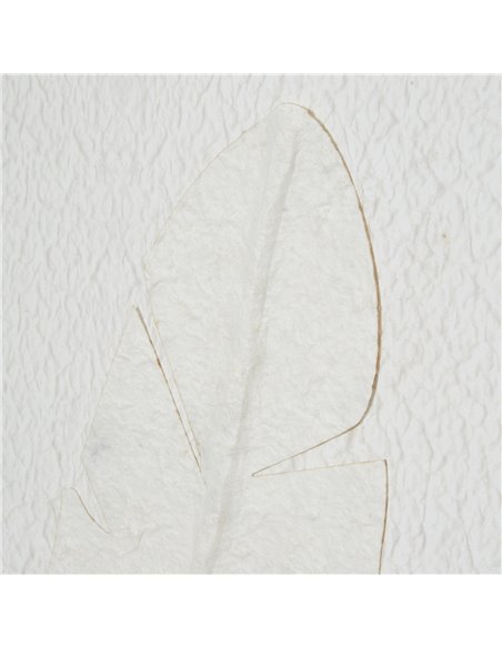 Hill Interiors Large Quill White Feather Art Mounted In Beaded Frame 23805 - pic 114183 | FastDaddyshop