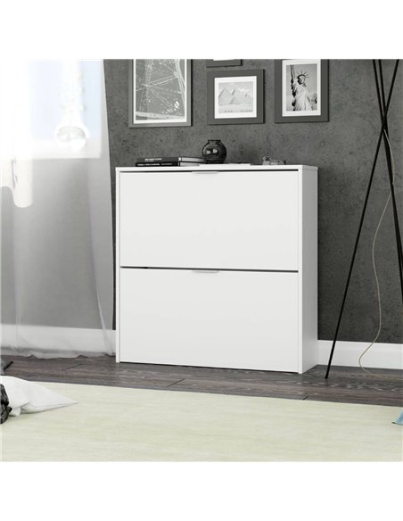 Brilo Matt White 2 Drawer Shoe Cabinet, 2893 - pic 114567 | FastDaddyshop