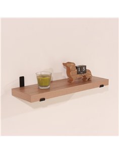 Core Products shelf kit, TS103 2