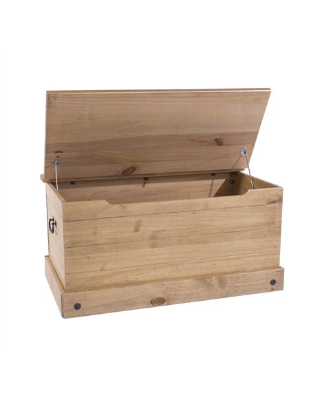 Core Products Corona storage trunk, CR540 - pic 116812 | FastDaddyshop