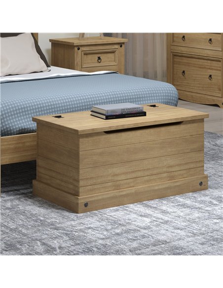 Core Products Corona storage trunk, CR540 - pic 116813 | FastDaddyshop