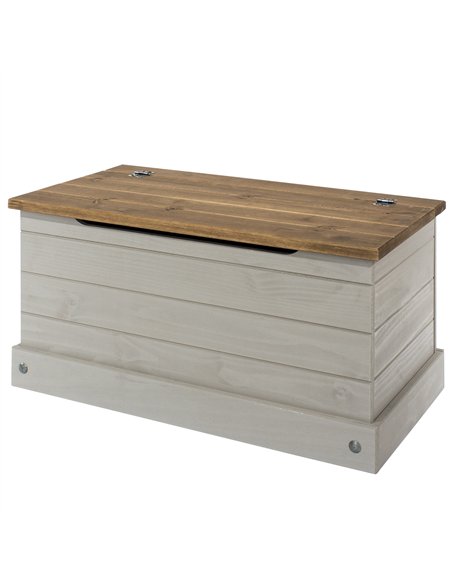 Core Products Corona Grey storage trunk, CRG540 - pic 117003 | FastDaddyshop
