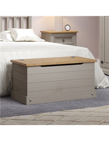Core Products Corona Grey storage trunk, CRG540 - pic 117007 | FastDaddyshop