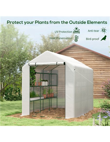 Outsunny 8 x 6ft Walk-In Greenhouse, with Shelves - White - pic 119796 | FastDaddyshop