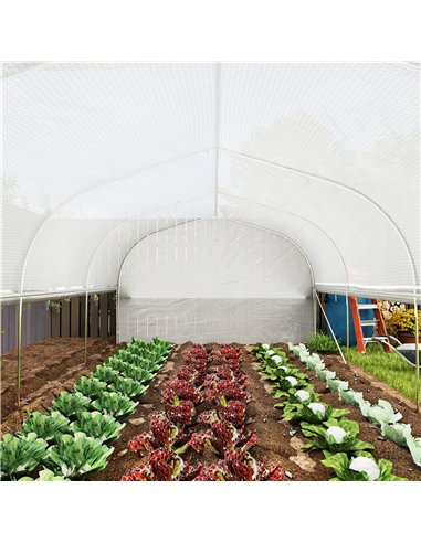 Outsunny 6 x 3 x 2m Walk-in Polytunnel Greenhouse, Zipped Roll Up Sidewalls, Mesh Door, 8 Mesh Windows, Tunnel Warm House Tent w