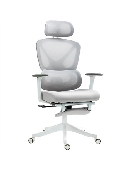 HOMCOM Ergonomic and Adjustable Office Chair - Grey - pic 120144 | FastDaddyshop