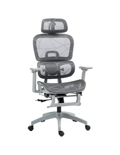 HOMCOM Executive Office Chair, Ergonomic Mesh High Back Desk Chair with Lumbar Support, Reclining Function, Swivel Computer Chai