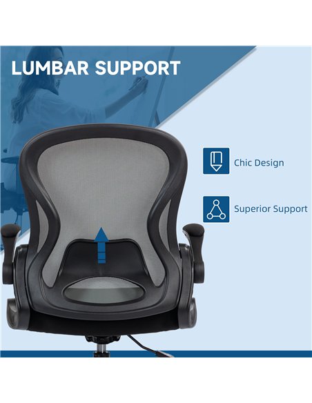 Vinsetto Adjustable Mesh Standing Desk Chair with Flip-up Armrests Lumbar Support Armrests Adjustable Footrest Ring, Dark Grey - pic 120446 | FastDaddyshop