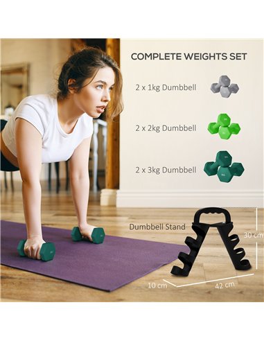 SPORTNOW Dumbbells Set with Carry Storage Rack, Set of 6 Weights for Home Gym Kettlebell Training Weight Lifting Exercise, 2 x 1