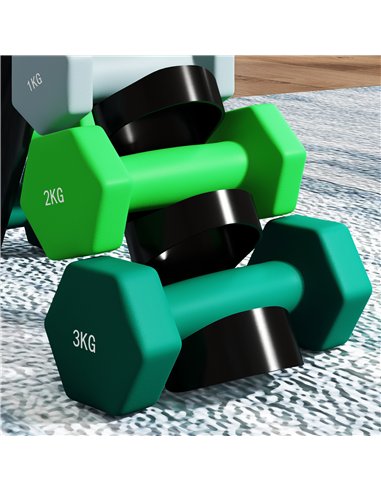 SPORTNOW Dumbbells Set with Carry Storage Rack, Set of 6 Weights for Home Gym Kettlebell Training Weight Lifting Exercise, 2 x 1