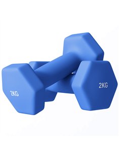 SPORTNOW 2 x 2kg Hexagonal Dumbbells Weights Set with Non-Slip Grip for Home Gym Workout, Blue