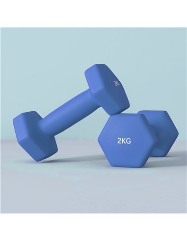 SPORTNOW 2 x 2kg Hexagonal Dumbbells Weights Set with Non-Slip Grip for Home Gym Workout, Blue