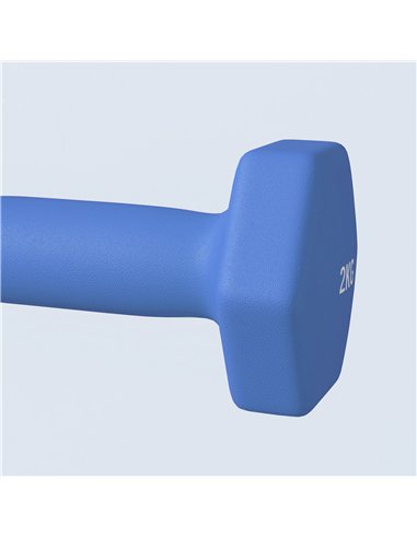 SPORTNOW 2 x 2kg Hexagonal Dumbbells Weights Set with Non-Slip Grip for Home Gym Workout, Blue