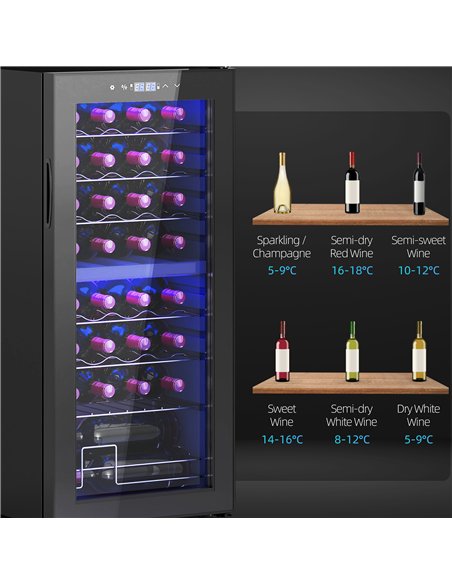 HOMCOM 32 Bottle Dual Zone 5-18℃ Wine Fridge - Black - pic 127433 | FastDaddyshop