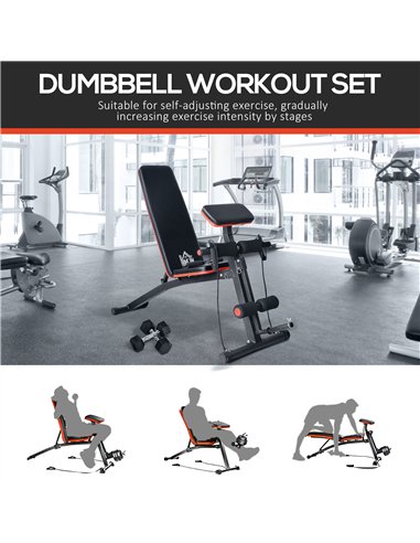 HOMCOM Adjustable Reclined Dumbbell Bench Weight Lifting Set Folding Sit Up Ab Bench Home Training Gym Multiuse Workout Exercise