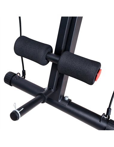 HOMCOM Adjustable Reclined Dumbbell Bench Weight Lifting Set Folding Sit Up Ab Bench Home Training Gym Multiuse Workout Exercise
