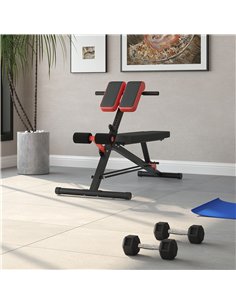 HOMCOM Multifunction Weight Bench with 2 Dumbbells, 7-Level Adjustable Hyper Extension Sit-up Bench 2
