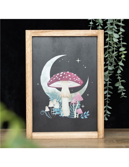 Forest Mushroom Framed Wall Print - pic 134423 | FastDaddyshop