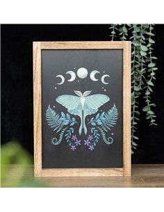 Luna Moth Wooden Framed Wall Art DF_79124 2