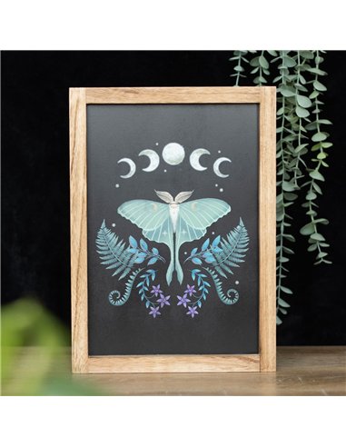 Luna Moth Wooden Framed Wall Art