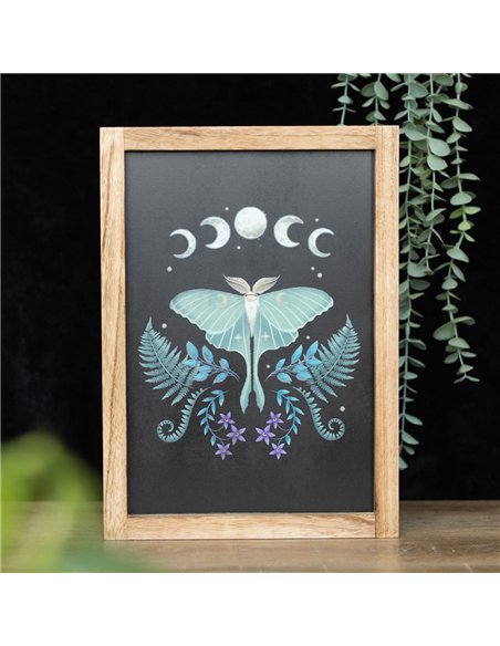 Luna Moth Wooden Framed Wall Art - pic 134424 | FastDaddyshop