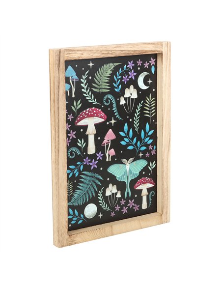 Dark Forest Framed Wall Print DF_78924 - pic 134488 | FastDaddyshop