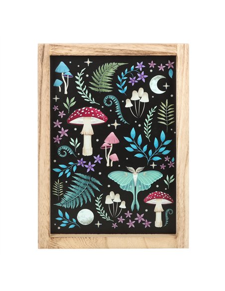 Dark Forest Framed Wall Print DF_78924 - pic 134489 | FastDaddyshop