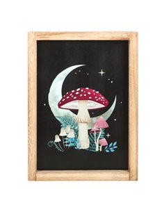 Forest Mushroom Framed Wall Print DF_79024