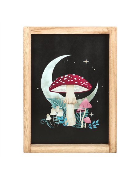Forest Mushroom Framed Wall Print DF_79024 - pic 134493 | FastDaddyshop