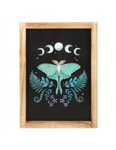 Luna Moth Wooden Framed Wall Art DF_79124
