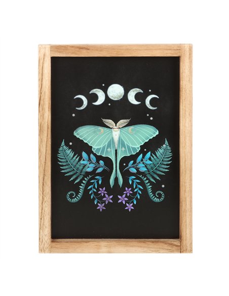 Luna Moth Wooden Framed Wall Art DF_79124 - pic 134496 | FastDaddyshop