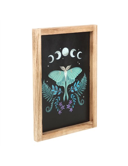 Luna Moth Wooden Framed Wall Art DF_79124 - pic 134497 | FastDaddyshop