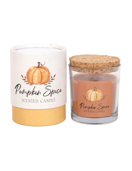 Pumpkin Spice Autumn Candle AA_44723 - pic 134539 | FastDaddyshop