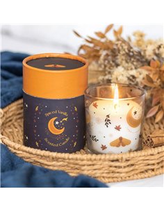 Autumn Magic Spiced Vanilla Candle AT_56225 2