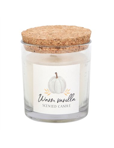 Warm Vanilla Autumn Candle AA_44523