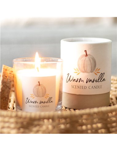 Warm Vanilla Autumn Candle AA_44523