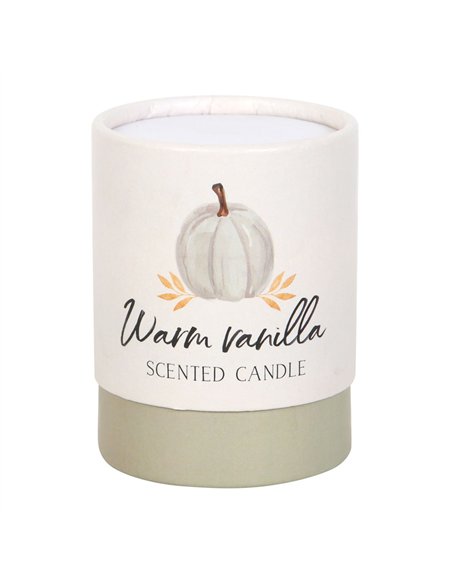 Warm Vanilla Autumn Candle AA_44523 - pic 134578 | FastDaddyshop